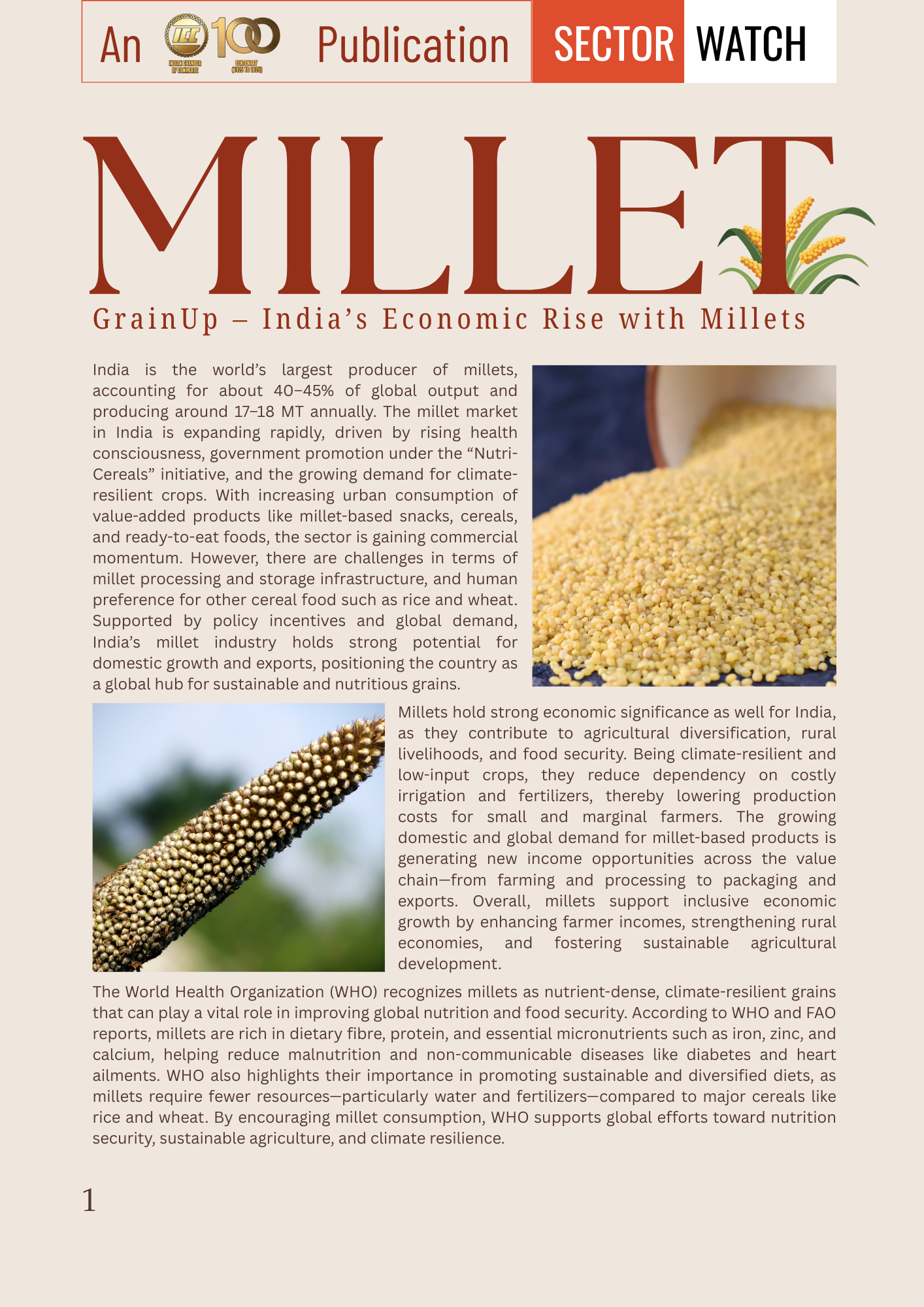 Grain Up India's Economic Rise with Millets